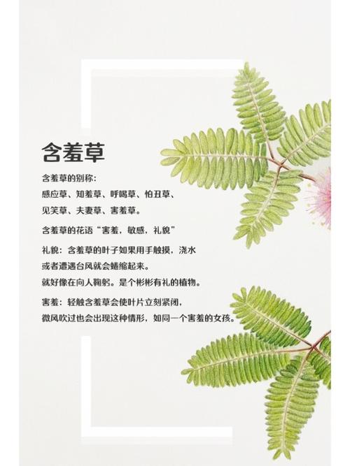 快活影院最新电影在线观看，免费高清影视资源尽在快活影院