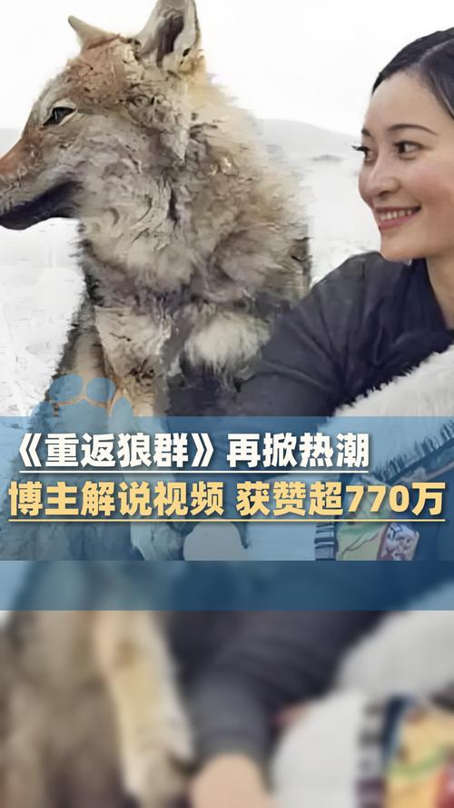 VIP影院在线观看：海量高清大片、独家热门剧集、无广告畅享追剧体验