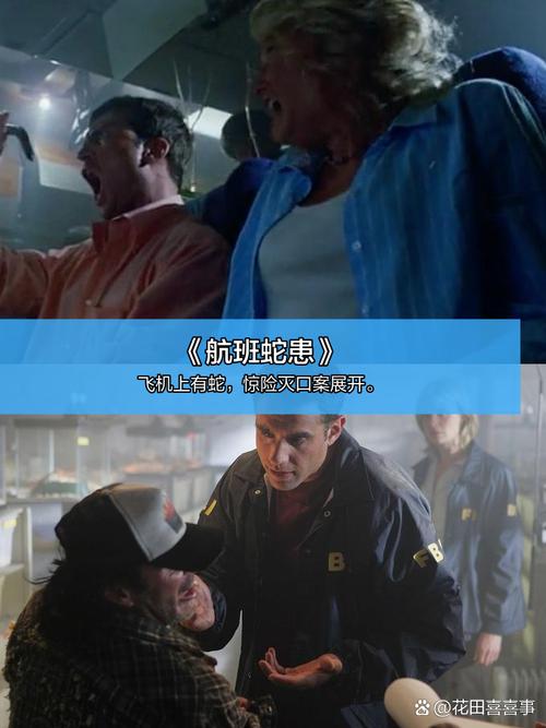 八妻子影院 - 高清在线观影平台，热门影视资源免费看，最新院线大片抢先体验