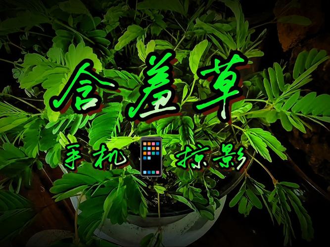 亚洲少妇日常穿搭指南，提升气质与自信的3个实用技巧