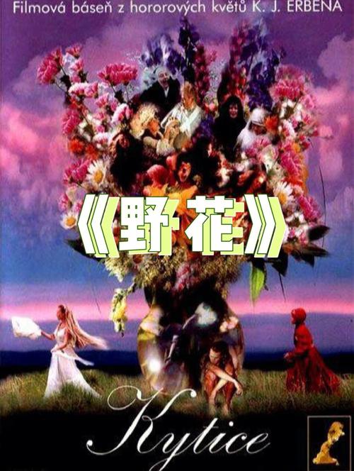 根据屁屁影院的特点，为您生成的SEO标题如下：

**屁屁影院 - 2025最新热门电影在线观看，高清无广告影视剧免费追剧平台**