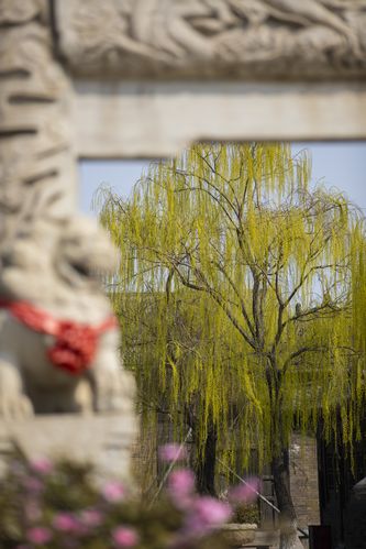老司机神马影院的相关介绍