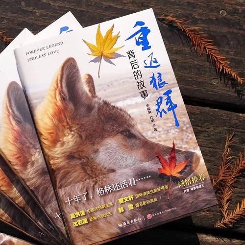 成年影院：解锁成人专属观影指南，高能剧情与隐秘资源一网打尽