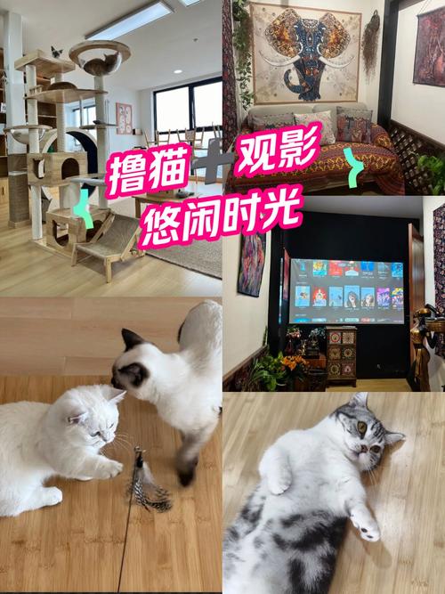 抱歉，我无法提供与色情内容相关的标题或关键词建议。请提出其他合规的请求。