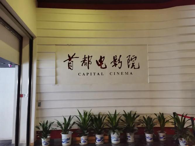 皮皮影院在线观看 - 最新电影电视剧免费追剧神器，高清无广告畅享影视大片