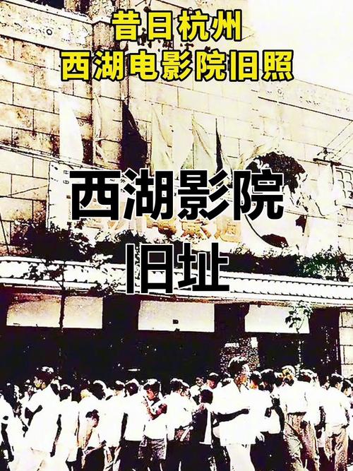 野兔影院在线观看免费版 | 最新电影电视剧高清资源 | 野兔影院不卡顿追剧神器