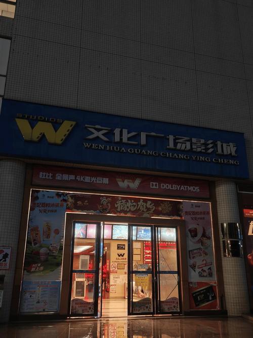 国内精品久久久久久不卡影院的相关介绍