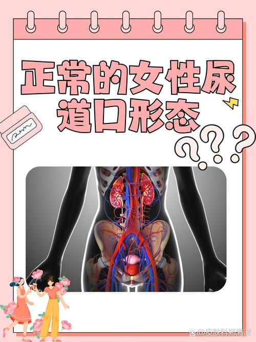 第八放映室影院手机版的相关介绍