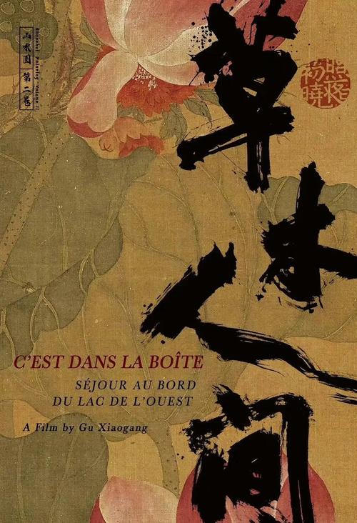 女人下部免费看的相关介绍